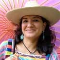 The House on Mango Street, Caramelo, Hairs/Pelitos   Sandra Cisneros is an American writer best known for her acclaimed first novel The House on Mango Street and her subsequent short story collection Woman Hollering Creek and Other Stories.