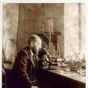 Dec. at 82 (1852-1934)   Santiago Ramón y Cajal was a Spanish pathologist, histologist, neuroscientist, and Nobel laureate.