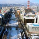 Sapporo on Random Best Winter Destinations