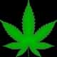 The Best Marijuana Strains