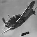 Douglas SBD Dauntless on Random Most Iconic World War II Planes