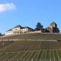 Schloss Johannisberg on Random Best Wineries in the World