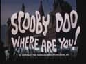 Scooby-Doo on Random Very Best Cartoon TV Shows