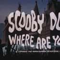Scooby-Doo on Random Best Saturday Morning Cartoons for 80s Kids