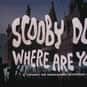Scooby Doo, Shaggy Rogers, Velma Dinkley