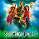 Scooby-Doo on Random Greatest Dog Movies