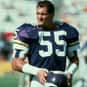 Scott Studwell is listed (or ranked) 3 on the list The Best Minnesota Vikings Linebackers of All Time
