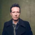 Former frontman of Stone Temple Pilots & Velvet Revolver died Dec 3, 2015 of an accidental overdose of cocaine and other substances.  He was 48. Scott Weiland is an American musician, lyricist and vocalist.