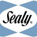 Sealy Corporation on Random Best Pillow Brands