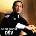 seaQuest DSV on Random TV Shows Canceled Before Their Time