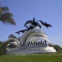 SeaWorld Orlando on Random Most Visited Tourist Destinations in America