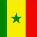 Senegal on Random Countries Where It's Still Illegal to Be Gay