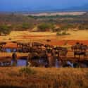 Serengeti National Park on Random Most Beautiful Natural Wonders In World