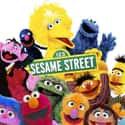 Sesame Street on Random Best Puppet TV Shows