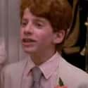 Seth Green is listed (or ranked) 38 on the list The Greatest Former Child Stars