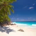 Seychelles on Random Best Destinations for a Beach Wedding
