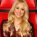 Shakira on Random Worst Singing Competition Show Judges