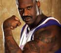Shaquille O'Neal on Random Athletes Who Are Nerds