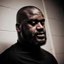 Shaquille O'Neal on Random Most Successful Obese Americans
