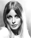 Sharon Tate on Random Most Macabre Sights At Dearly Departed Tours And Museum