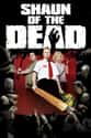 Shaun of the Dead on Random Best Fast Moving Zombie Movies