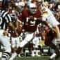 Shawn Halloran is listed (or ranked) 41 on the list The Best Arizona Cardinals Quarterbacks of All Time
