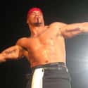 Hernandez on Random Best Lucha Underground Wrestlers