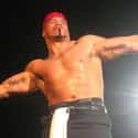 Hernandez on Random Best Lucha Underground Wrestlers