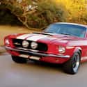 Shelby Mustang on Random Best Muscle Cars