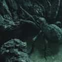 Shelob on Random Coolest Characters in Middle-Earth