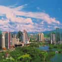Shenzhen on Random Best Asian Cities to Visit
