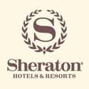 Sheraton Hotels and Resorts on Random Best Luxury Hotel Chains