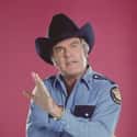 Sheriff Rosco P. Coltrane on Random Greatest Cops on TV Sitcoms