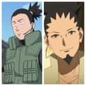 Shikamaru Nara on Random Naruto Characters Look In Boruto Compared To Their Original Form
