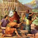 Noah and the Ark on Random Best Bible Stories For Kids