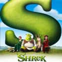 Shrek on Random Best Princess Movies