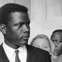 Sidney Poitier on Random Famous People Most Likely to Live to 100
