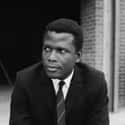 Sidney Poitier on Random Celebrities Who Served In The Military
