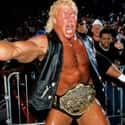 Sid Vicious on Random Best WCW Wrestlers