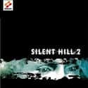 Horror, Third-person Shooter, Survival horror   Silent Hill 2 is a survival horror video game published by Konami for the PlayStation 2 and developed by Team Silent, a production group within Konami Computer Entertainment Tokyo.