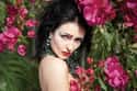 Siouxsie Sioux on Random Best Gothic Rock Bands/Artists