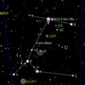 Sirius on Random Brightest Stars in the Sky
