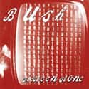 Sixteen Stone on Random 90s CDs You Are Most Embarrassed You Owned