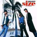 Size Isn't Everything on Random Best Bee Gees Albums