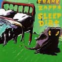 Sleep Dirt on Random Best Frank Zappa Albums List