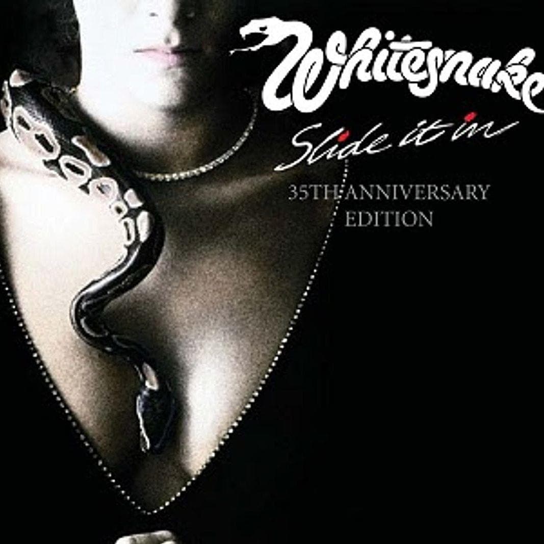 The Best Whitesnake Albums, Ranked By Fans