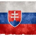 Slovakia on Random Coolest-Looking National Flags in the World