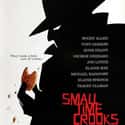 Small Time Crooks on Random Best Hugh Grant Movies