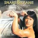Snake & Crane Arts of Shaolin on Random Best Kung Fu Movies of 1970s