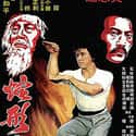 Snake in the Eagle's Shadow on Random Best Kung Fu Movies of 1970s
